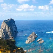 Private Shore Excursion: Cape Kamui & Shakotan Coast