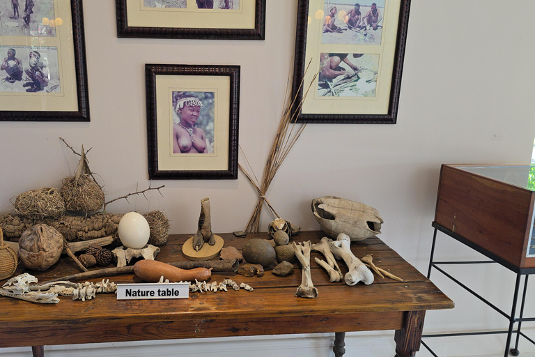 Cape Town: Ostrich Ranch Safari with Hotel Transfer