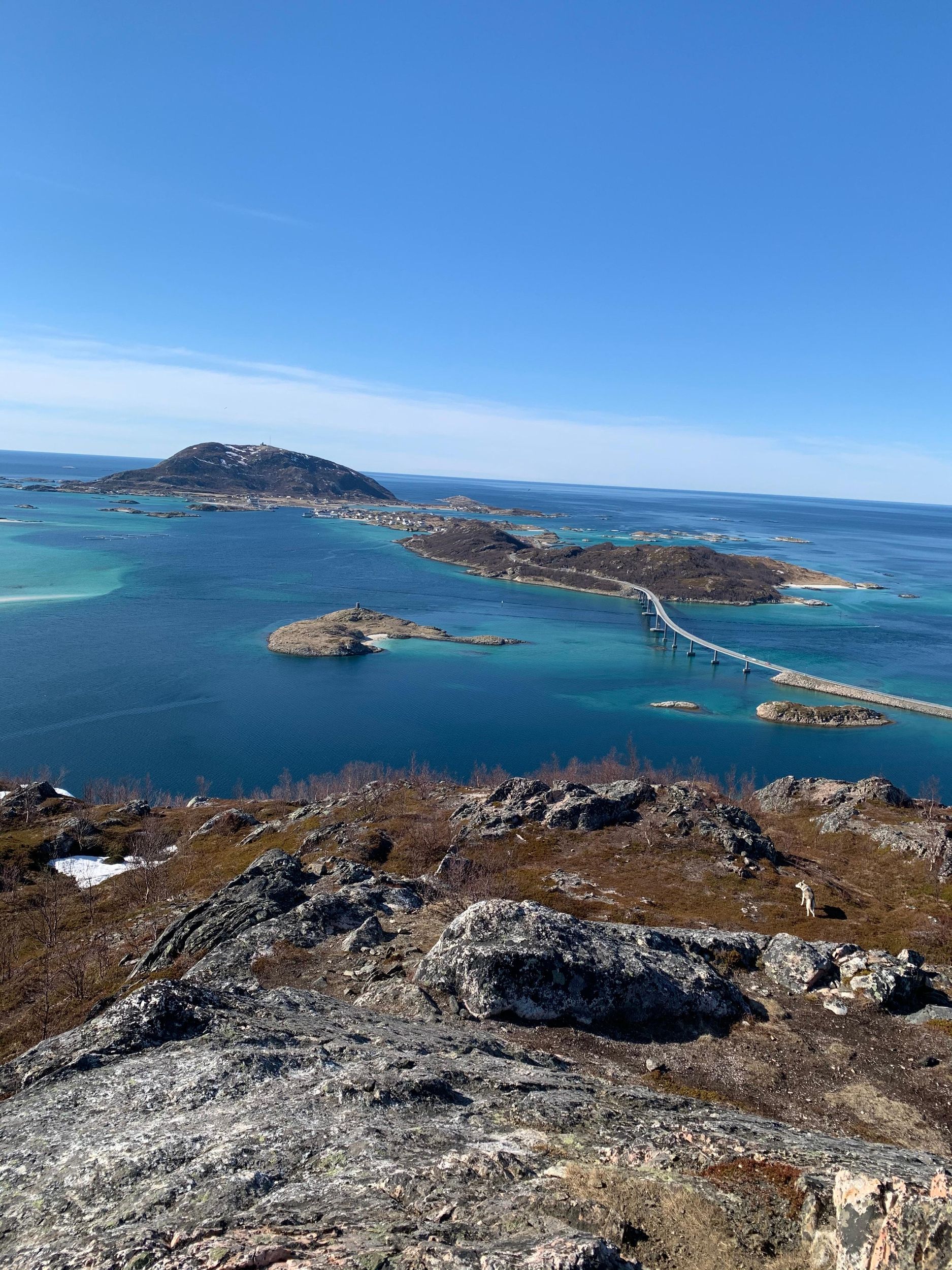 Treffen Sie die Einheimischen auf der Insel Sommarøya. Unternehmen Sie eine Tour mit den Einheimischen.