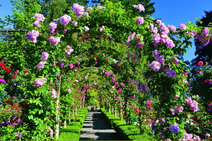 Victoria: Butchart Gardens Express Shuttle | GetYourGuide