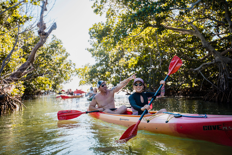 Dia Premium de vela, mergulho com snorkel e caiaque com almoço