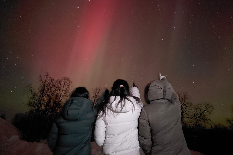 Da Kiruna: Tour dell&#039;aurora boreale nel Parco Nazionale di AbiskoDa Kiruna: tour dell&#039;aurora boreale del Parco Nazionale Abisko