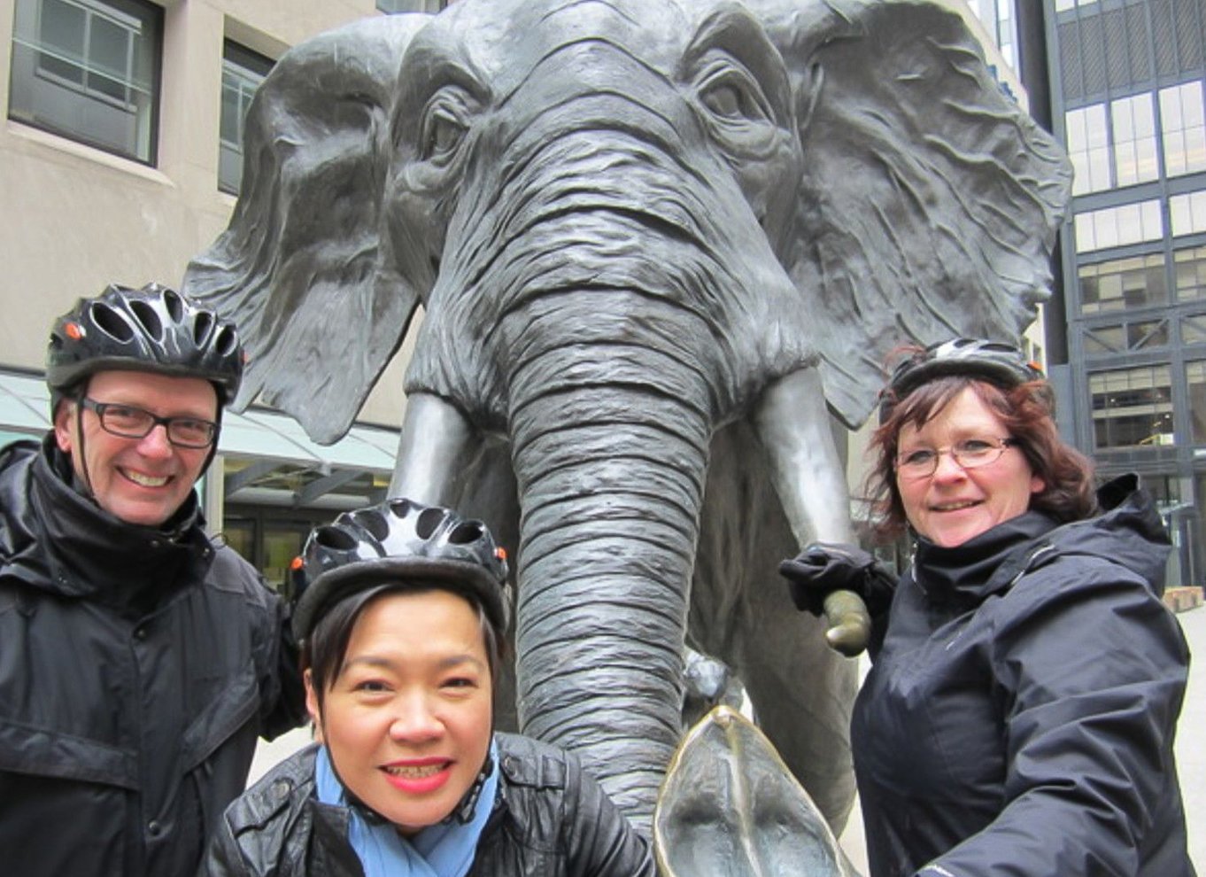 Toronto: 3,5-timers cykeltur i centrum