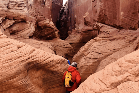 Page, Arizona: Secret Antelope Canyon & Horseshoe Bend Tour