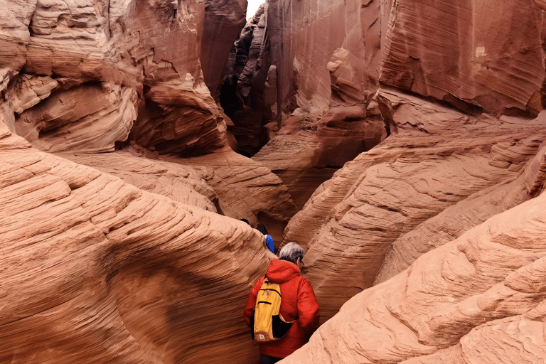 Page, Arizona: Secret Antelope Canyon & Horseshoe Bend Tour