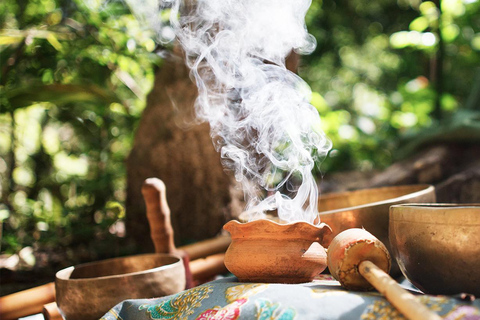 Tambopata : Retiro de Ayahuasca 2D | alojamiento y almuerzo