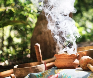 Tambopata: Retiro de Ayahuasca 2D | alojamiento y almuerzo