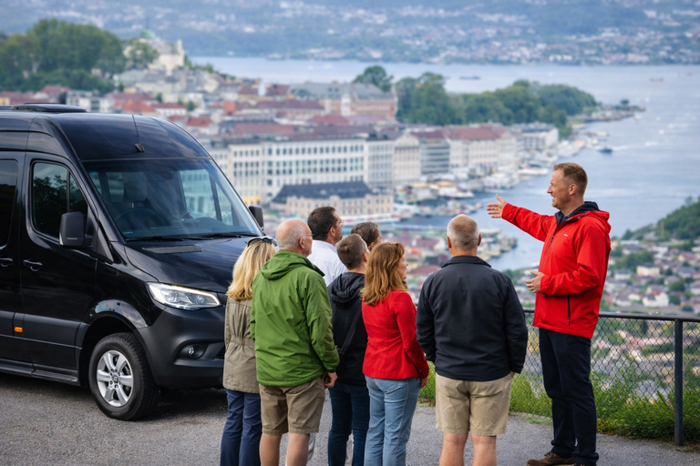 Bergen: Hidden Gems Premium Minibus Tour with Scenic Views