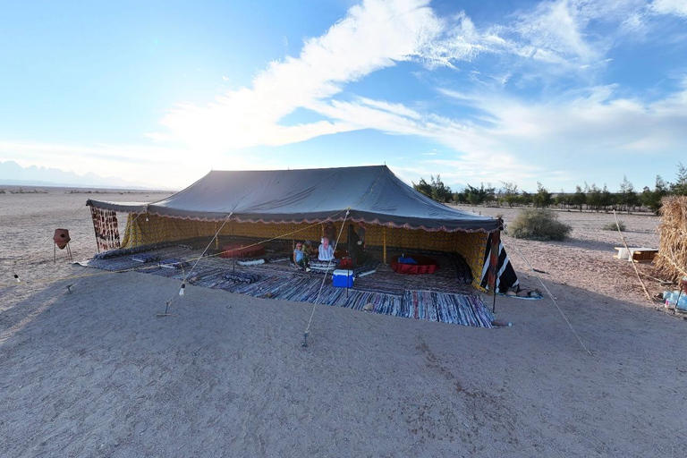 Hurghada: Jeep Safari, piantumazione di alberi e pranzo "dalla fattoria alla tavola"Hurghada: safari in jeep, piantumazione di alberi e pranzo "dalla fattoria alla tavola"