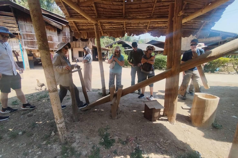 Chiang Mai : Chute d&#039;eau de Mae Ya et randonnée sur le sentier Pha Dok SiewVisite privée avec prise en charge à l&#039;hôtel