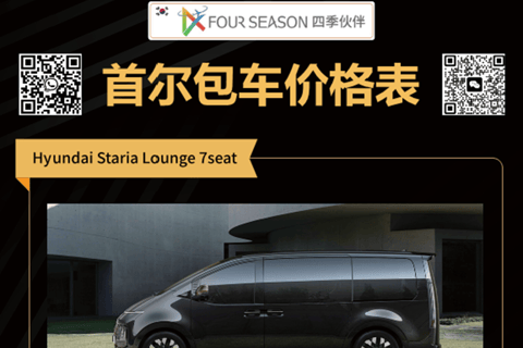 Seoul: gechartertes Fahrzeug Staria Lounge van City Tour