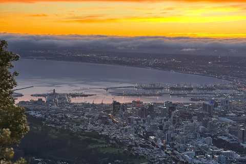 Kaapstad: Wandeling met gids over Lion's Head bij zonsopgang of zonsondergangZonsopgang wandeling vanaf trefpunt