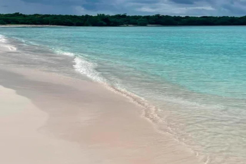 From Punta Cana: Saona Island Tour with 3 Beaches & Village