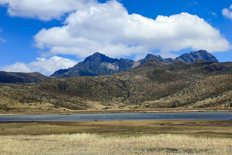 Wulkan Cotopaxi: zwiedzanie z Quito, Alpaka, laguna i wulkany