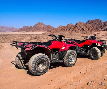 Sharm El-Sheikh: Morning Desert ATV Quad & Buggy Adventure