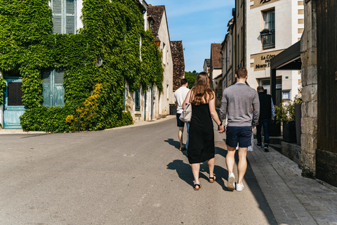 From Paris: Private Sancerre Wine Tour w 10 Tastings & Lunch