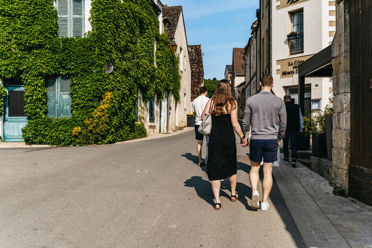 From Paris: Private Sancerre Wine Tour w 10 Tastings & Lunch