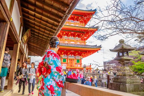 Tour de día completo por Kioto y Nara: lo más destacado del Patrimonio de la UNESCODesde Osaka 8:40 h