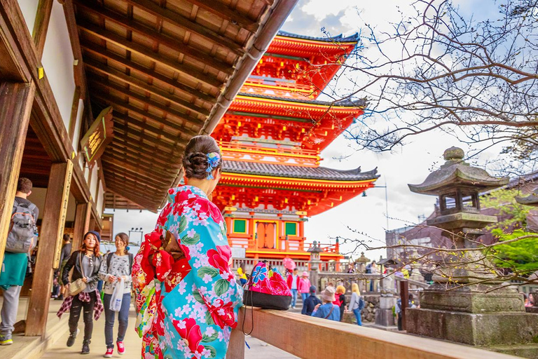 Full-Day Tour of Kyoto and Nara: UNESCO Heritage Highlights From Osaka 8:40am