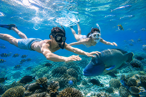 Labuan Bajo: 6 Island Komodo Speedboat Day Trip & Snorkeling