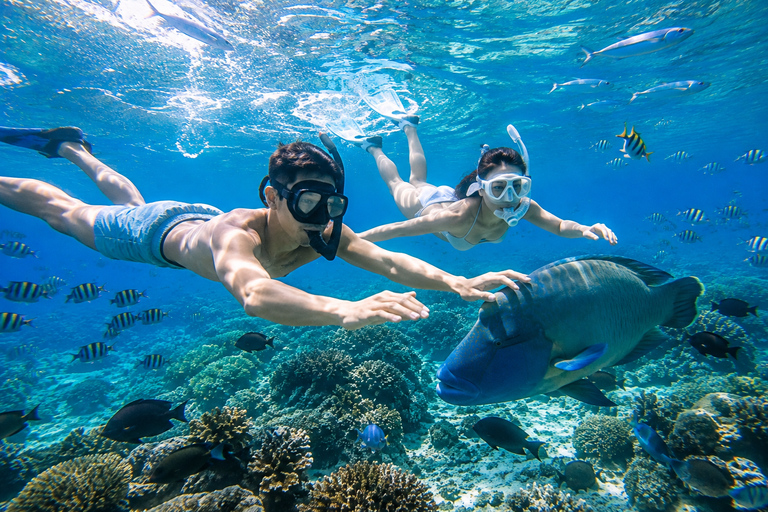 Labuan Bajo: 6 Island Komodo Speedboat Day Trip & Snorkeling