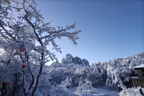 Huangshan: Mountain Top Day Trip with Cable Car and Pickup
