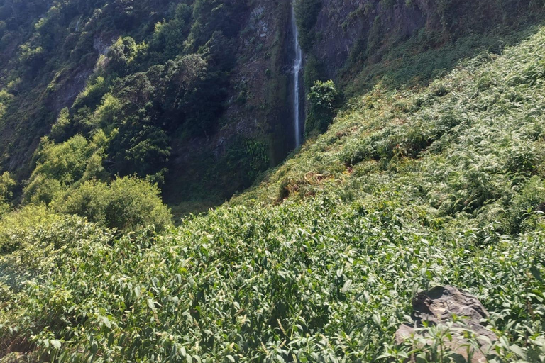 Madeira West Tour - De natuurlijke lavapoelen van Porto Moniz