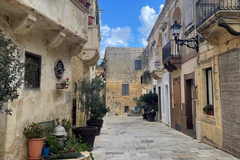 Gozo: Private Full-Day Customizable Tour with Driver & Van