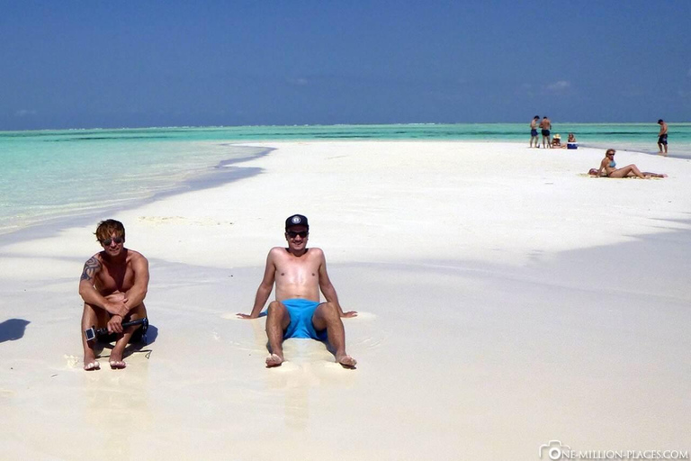 Zanzibar: Mnemba Island Delfintur och simning med sköldpaddorPrivat tur med upphämtning och avlämning på hotellet, inklusive lunch