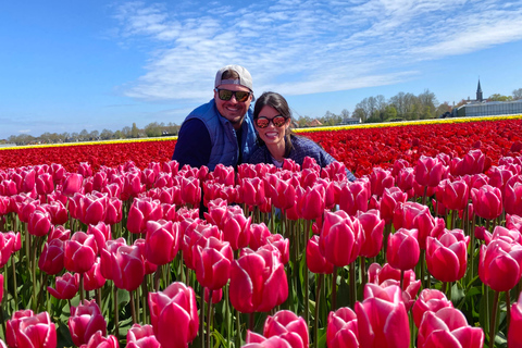 Amsterdam: Tulip Fields Day Tour with Lunch & Windmill
