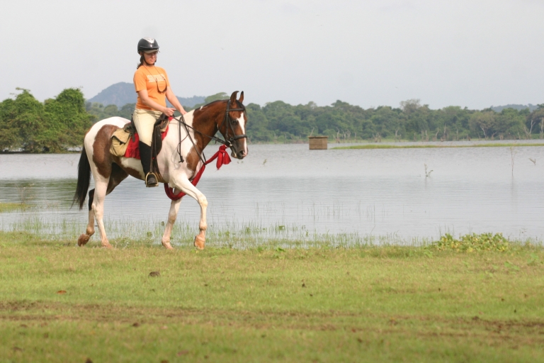 Demi-journée d'équitation à Dambulla