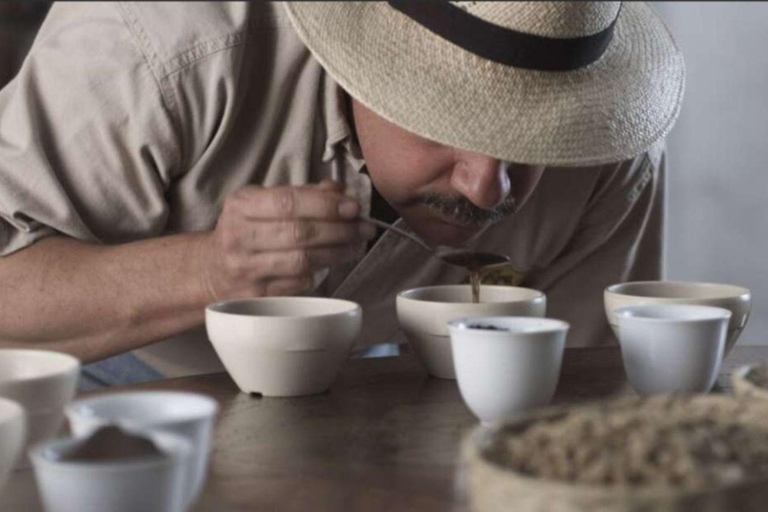 Cartagena: Intimate Premium Coffee Tasting Experience