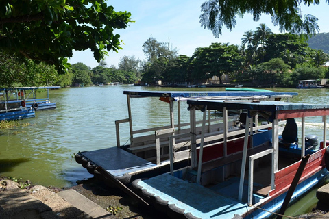 Rio de Janeiro: Half-Day Boat Tour in Marapendi Lagoon
