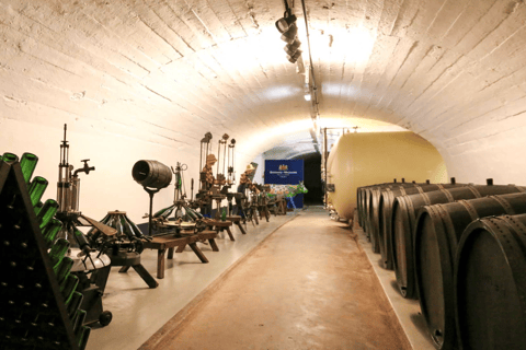 Luxembourg: Moselle Wine & Beaufort Castle Private Day Tour