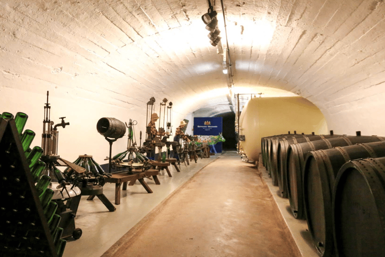 Luxembourg: Moselle Wine & Beaufort Castle Private Day Tour