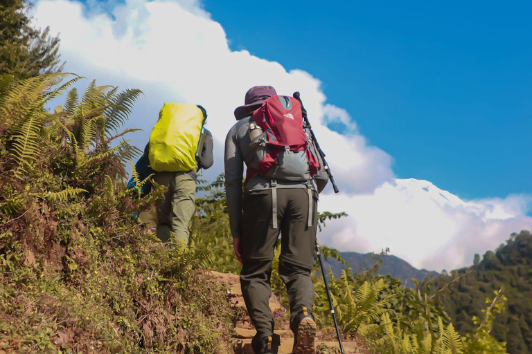Kathmandu - Shivapuri Day Hike with Lunch Full-Day Shivapuri Hike with Lunch