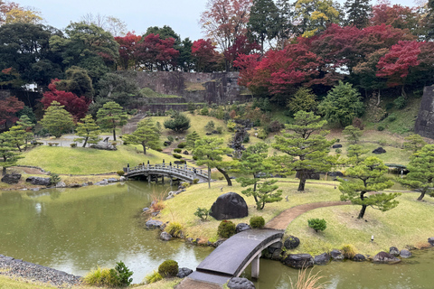 Kanazawa: Privat halvdagsutflykt - Trädgård, slott, Geisha