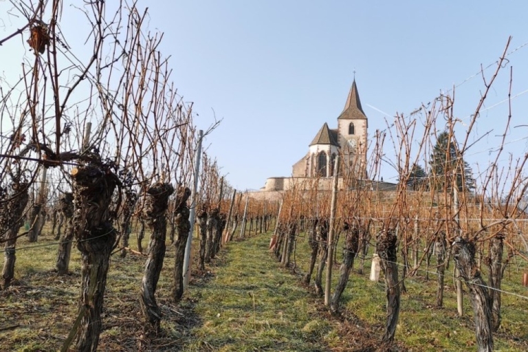 Alsace: Half-Day Wine Tour from Colmar