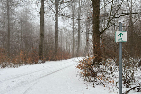 Québec City: Guided Fat Bike Tour with Hot Chocolate