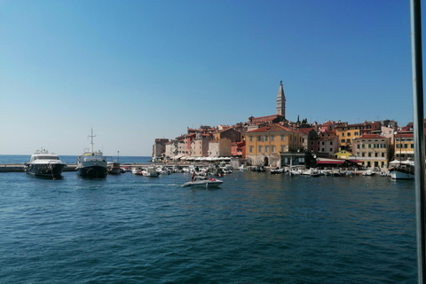 Istria en un día: Tour privado con cata de vino y aceite