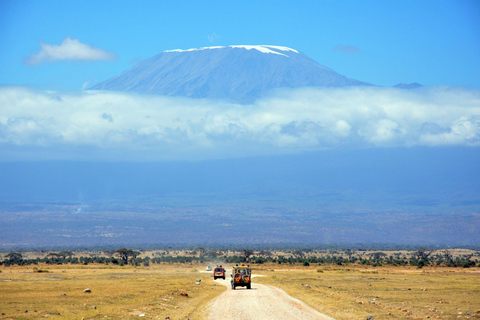 Kilimandscharo: Materuni-Wasserfälle & Kaffeetour mit LunchWasserfälle und Kaffeetour mit Abholung in Arusha