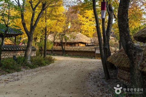 From Seoul: 6-Day South Korea Highlights Tour with Hotels