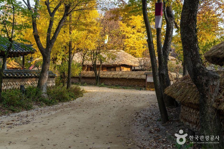 From Seoul: 6-Day South Korea Highlights Tour with Hotels