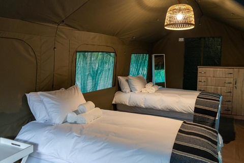 Johannesburg: 3-tägige Kruger Budget Glamping Safari