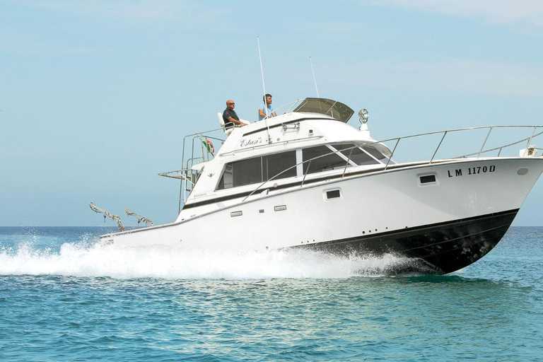 Santa Teresa: Speedboottocht rond Lavezzi en Piana-eiland