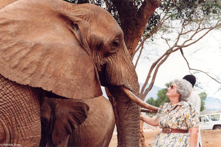 Nairobi; Excursión al Parque Nacional de Nairobi y al Orfanato de Elefantes