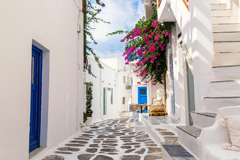 Mykonos : Escapade à la plage et découverte de la vieille villeExploration de la ville de Mykonos avec plage - Excursion à terre