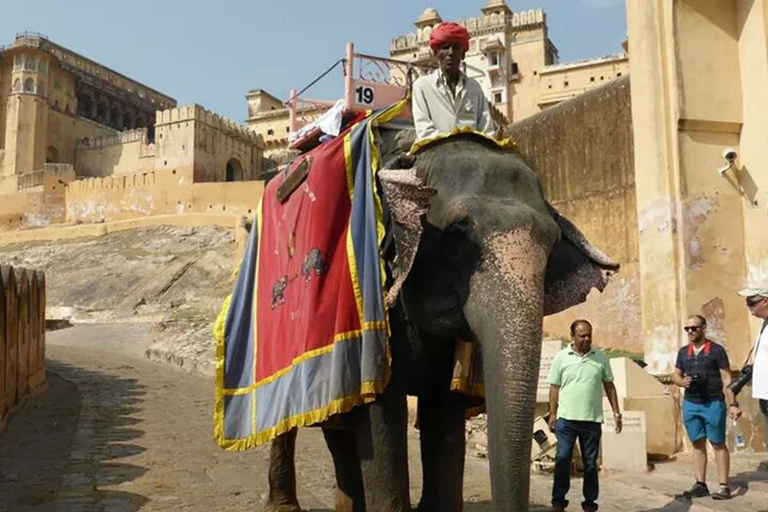 5 dagar Gyllene triangeln Indien Tour (Delhi-Agra-Jaipur-Delhi)Rundresa med guide