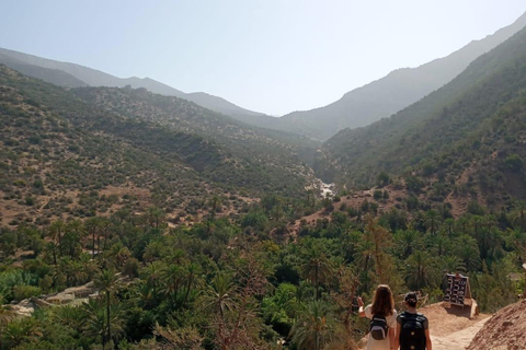 Agadir: High Atlas Mountains, Goats on Trees & Garden Tour