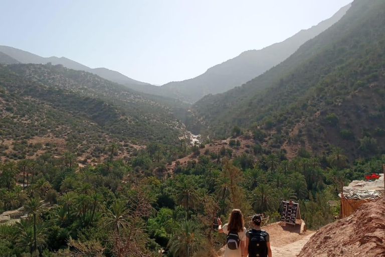 Agadir: High Atlas Mountains, Goats on Trees & Garden Tour